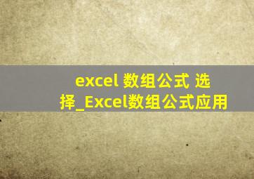 excel 数组公式 选择_Excel数组公式应用